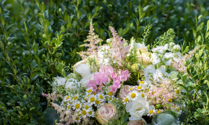 Flores de inverno: saiba quais são as melhores para decorar seu casamento -  Lekan Eventos